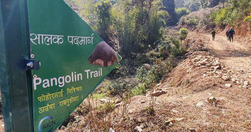 Pangolin Trekking Trail