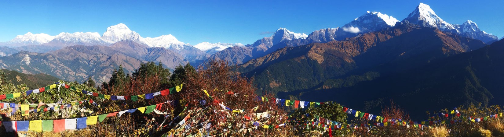 view from poon hill 3210m