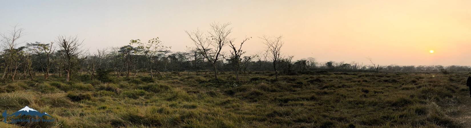 Royal Chitwan National Park