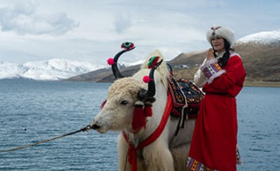 Tibet Lhasa Tour